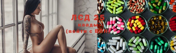 крисы Белоозёрский