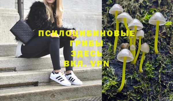 таблы Богданович