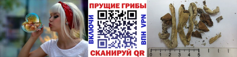 МЕГА зеркало  Верхний Уфалей  Галлюциногенные грибы Magic Shrooms  магазин   